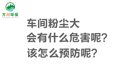 車間粉塵大會(huì)有什么危害呢？該怎么預(yù)防呢？